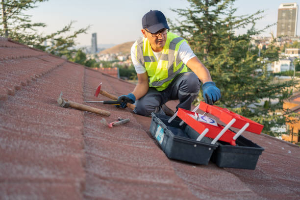 Best Wood Siding Installation  in Channel Islands Beach, CA